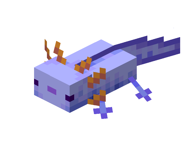 Axolotl